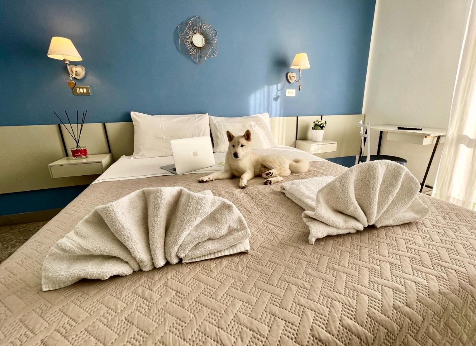Hotel Alfa Anche In All Inclusive リミニ エクステリア 写真